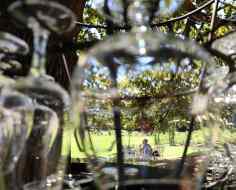 Perched under the trees at Boschendal wine estate.